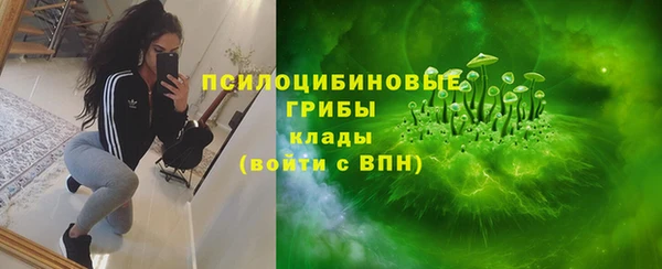 хмурый Михайловск