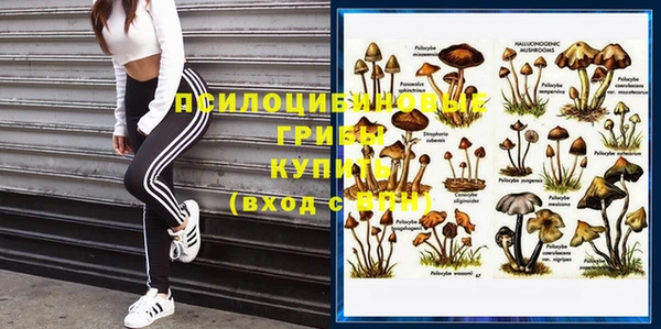 тгк Михайлов