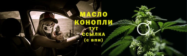 тгк Михайлов