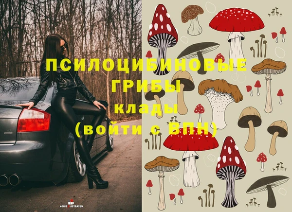 МДПВ Медвежьегорск